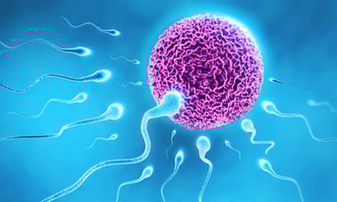 கருமுட்டைகளின் வளர்ச்சியை பாதிக்கும் காரணங்கள்...