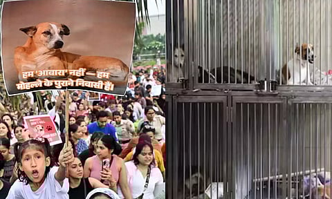 Tamil News Live: முதலமைச்சர் ஸ்டாலின் அண்ணாச்சி, வாக்குறுதி என்னாச்சி?-  நயினார் நாகேந்திரன்