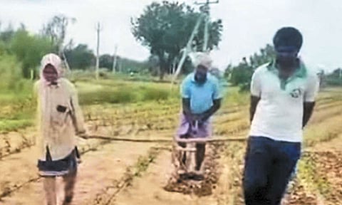 மகன், மகளை ஏரில் பூட்டி உழுத விவசாயி