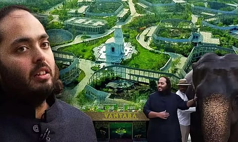 ஆனந்த் அம்பானி 'வந்தாரா' விலங்குகள் கடத்தல் விவகாரம்: சிறப்பு விசாரணை குழு அமைத்த உச்சநீதிமன்றம்