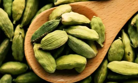 ரத்தத்தில் சர்க்கரை அளவை கட்டுப்படுத்தும் ஏலக்காய்