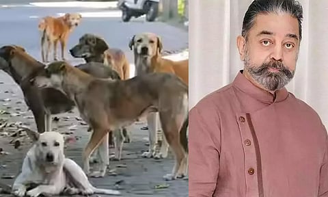 பூதாகரமாக மாறிய தெரு நாய் பிரச்சனை: சிம்பிள் தீர்வு கூறிய கமல்