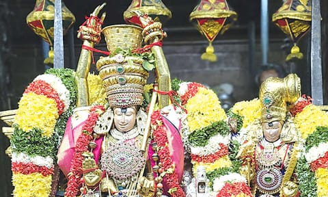 பிட்டுக்கு மண் சுமந்த கோலத்தில் பிரியாவிடையுடன் சுந்தரேஸ்வரர் பக்தர்களுக்கு அருள்பாலித்தார்.