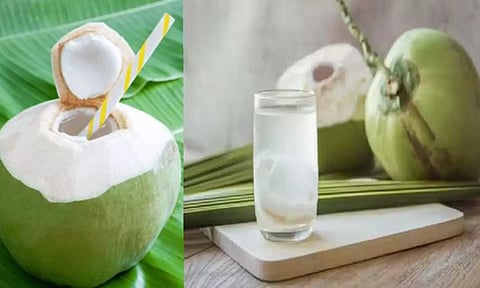 இளநீரை வெறும் வயிற்றில் சாப்பிடக் கூடாது- ஏன் தெரியுமா?