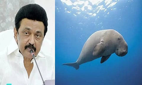 கடற்பசு பாதுகாப்பகம்- முதலமைச்சர் மு.க.ஸ்டாலின் பெருமிதம்