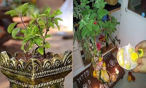 Indraya Panchangam மற்றும் முக்கிய நிகழ்வுகள்- 3 அக்டோபர் 2025: துளசி கவுரி விரதம்