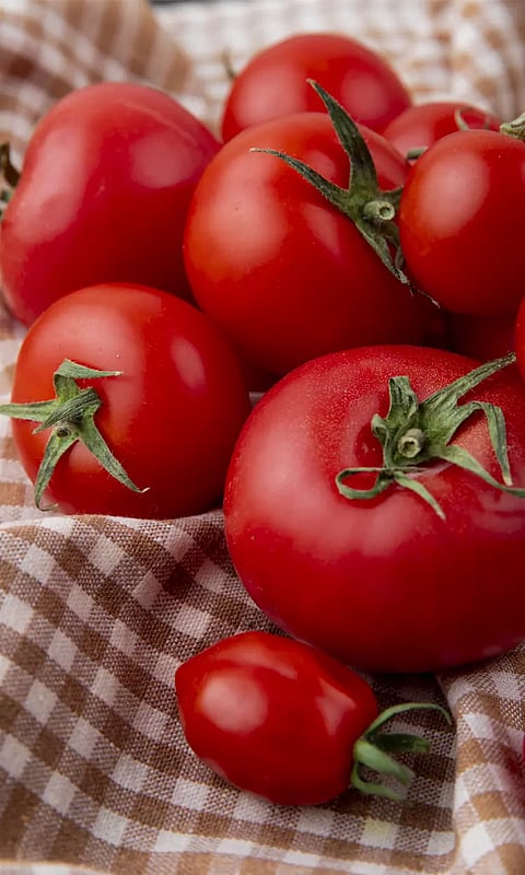 தக்காளி அதிகம் சாப்பிட்டால் சிறுநீரக கற்கள் ஏற்படும் அபாயம்?