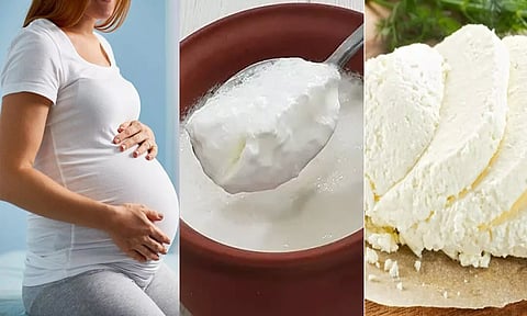 கர்ப்பப்பை தொற்றுக்களை தடுக்க பெண்கள் சாப்பிட வேண்டிய உணவுகள்