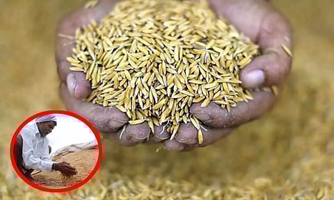 நெல் ஈரப்பதத்தை 22% ஆக உயர்த்த தமிழ்நாடு அரசு கோரிக்கை - மத்திய அரசு குழு அமைப்பு