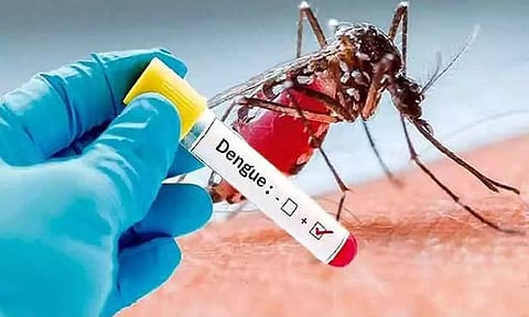 டெங்கு எனும் வில்லன்