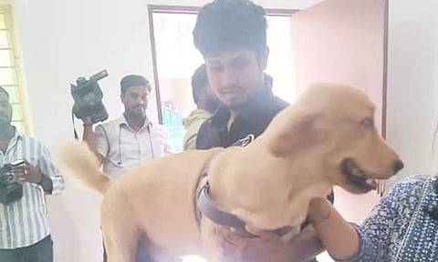 வளர்ப்பு நாய்களுக்கு மைக்ரோசிப் பொருத்தாவிட்டால் ரூ.5 ஆயிரம் அபராதம்- பதிவு செய்ய இன்று 6 இடங்களில் சிறப்பு முகாம்