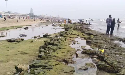 திருச்செந்தூரில் இன்று கடல் 100 அடி உள்வாங்கியது