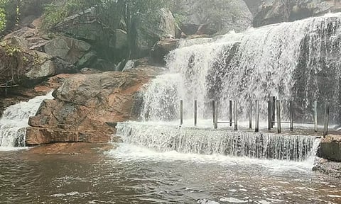 தொடர் மழையால் நீர்வரத்து அதிகரிப்பு- உடுமலை பஞ்சலிங்க அருவிக்கு செல்ல தடை