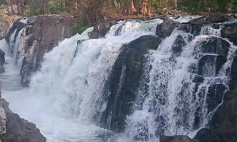 தொடர்ந்து 2-வது நாளாக ஒகேனக்கல்லுக்கு நீர்வரத்து 6,500 கனஅடியாக நீடிப்பு