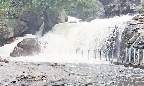 திருமூர்த்திமலை பஞ்சலிங்க அருவியில் வெள்ளப்பெருக்கு ஏற்பட்டுள்ளதை காணலாம்.