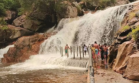 உடுமலை பஞ்சலிங்க அருவியில் சுற்றுலா பயணிகள் குளிக்க அனுமதி