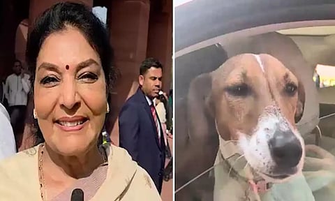 நாய்க்குட்டியுடன் நாடாளுமன்றம் வந்த காங்கிரஸ் எம்.பி! "கடிப்பவர்கள் உள்ளேதான் இருக்கிறார்கள்" என கண்டனங்களுக்கும் பதில்!