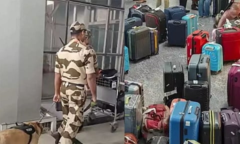 சென்னை விமான நிலயத்தில் பீதியை கிளப்பிய சூட்கேஸ்.. மோப்ப நாய்களுடன் நடந்த சோதனை