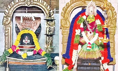 பூவேந்தியநாதர் - பவளநிற வல்லி அம்மன்