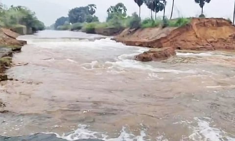 மணிமுத்தாறு 80 அடி பாசன கால்வாயில் 2-வது முறையாக உடைப்பு - விவசாய பணிகள் கடும் பாதிப்பு