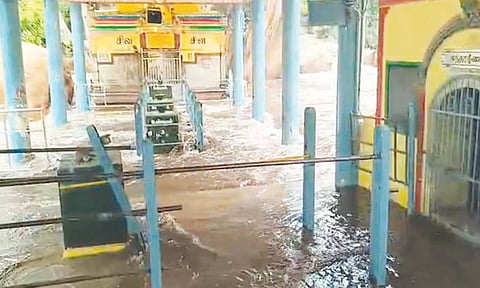 உடுமலை பஞ்சலிங்க அருவியில் வெள்ளப்பெருக்கு- கோவிலுக்கு செல்ல பக்தர்களுக்கு தடை