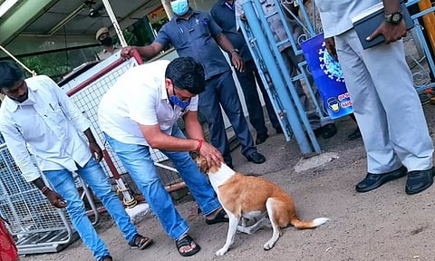 'பீச்சஸ்' எங்கள் குடும்பத்தில் ஒரு அங்கமாகிவிட்டது'... தெருநாயை வளர்ப்புநாயாக பதிவு செய்த அமைச்சர் பி.டி.ஆர்!