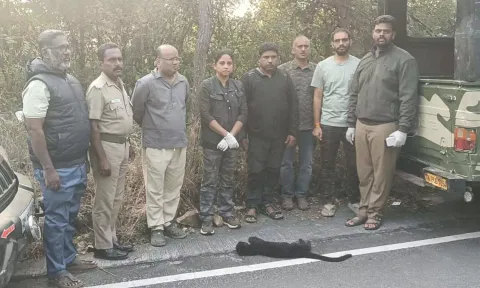 கோவை மருதமலை அடிவாரத்தில் மீட்கப்பட்ட கருஞ்சிறுத்தை குட்டி உயிரிழப்பு