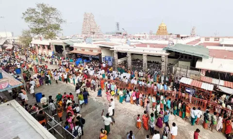புத்தாண்டை முன்னிட்டு குவிந்த பக்தர்கள்- பழனி கோவிலில் சாமி தரிசனத்துக்கு 5 மணி நேரம் காத்திருப்பு