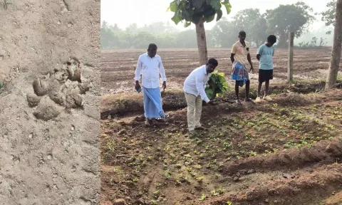 கடலூர் அருகே சிறுத்தை நடமாட்டம்? பொதுமக்கள் பீதி