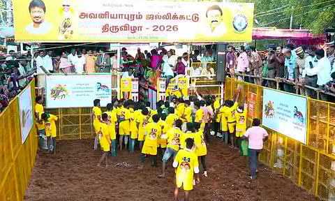 பொங்கல் பண்டிகையான இன்று அவனியாபுரம் ஜல்லிட்டு போட்டி தொடங்கியது