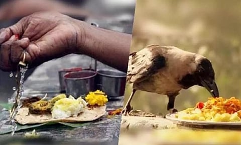 முன்னோர்களின் ஆசியை வழங்கும் தை அமாவாசை