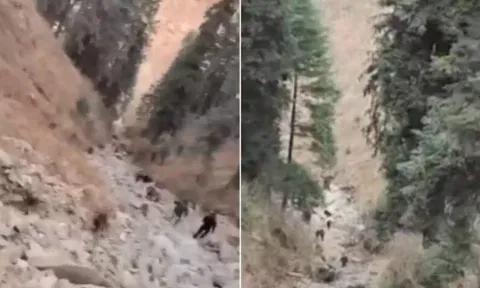 ஜம்மு-காஷ்மீரில் ராணுவ வாகனம் விபத்து - 10 வீரர்கள் உயிரிழப்பு!