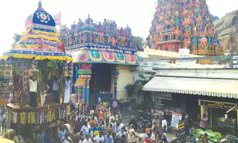 திருப்பரங்குன்றத்தில் தெப்பத்திருவிழா தேரோட்டம்- அரோகரா கோஷத்துடன் பக்தர்கள் இழுத்து தரிசனம்