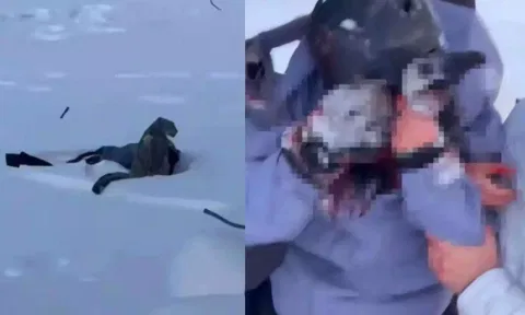 புகைப்படம் எடுக்க பக்கத்தில் வந்த நபரின் முகத்தைக் கடித்துக் குதறிய பனிச் சிறுத்தை - பகீர் வீடியோ