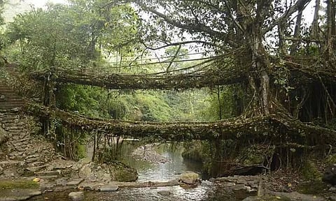 மேகாலயாவின் வாழும் வேர் பாலங்களை யுனெஸ்கோ அங்கீகரிக்க இந்தியா பரிந்துரை