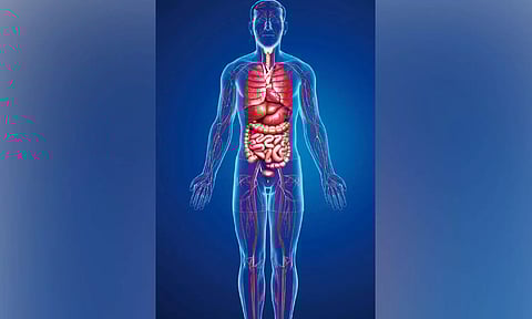 உங்களின் உண்மையான 'வாழ்க்கைத் துணை'