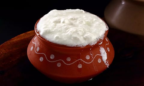 தயிர் சாப்பிடுவதால் கொலஸ்ட்ரால் அளவு குறையுமா?