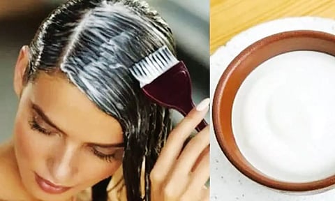 பட்டுப்போன்ற கூந்தல் வேண்டுமா? முகப்பரு பிரச்சனையா? தயிர் இருக்க கவலை எதற்கு...