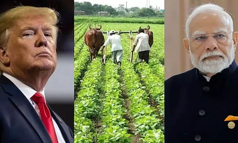 வர்த்தக ஒப்பந்தம்: அமெரிக்க விவசாயிகளுக்கு நன்மை.. இந்திய விவசாயிகளுக்கு ஆபத்தா? - மத்திய அரசு விளக்கம்