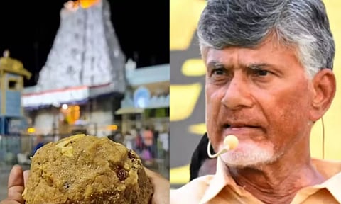 பாத்ரூம் சுத்தம் செய்யும் கெமிக்கலில் நெய் தயாரிப்பு.. திருப்பதி லட்டு குறித்து சந்திரபாபு நாயுடு புது தகவல்