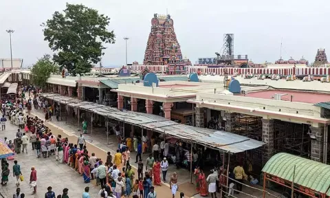 மகா சிவராத்திரியையொட்டி 15-ந்தேதி பழனி முருகன் கோவிலில் சிறப்பு பூஜைகள்