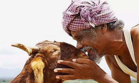 நாளை ஓ.டி.டி.யில் வெளியாகும்  'ஒண்டிமுனியும் நல்லபாடனும்'