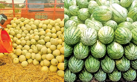 வெயிலின் தாக்கம் அதிகரிப்பு- கோயம்பேடு மார்க்கெட்டில் விற்பனைக்கு குவிந்த தர்பூசணி, கிர்ணி பழங்கள்