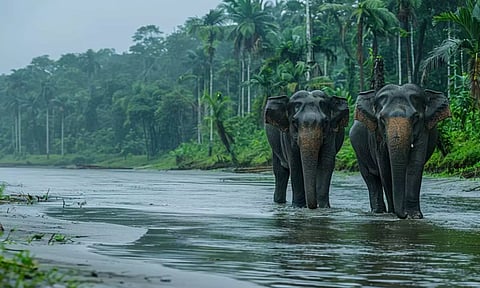 இனி கேரளா அல்ல 'கேரளம்'... பெயர் மாற்றத்திற்கு மத்திய அமைச்சரவை ஒப்புதல்!