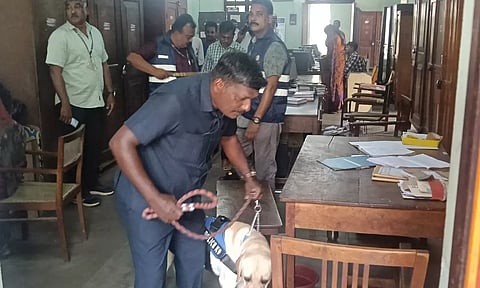 கோவை கோர்ட்டில் போலீசார் மோப்பநாய் மற்றும் மெட்டல் டிடெக்டர் கொண்டு சோதனை நடத்திய காட்சி.