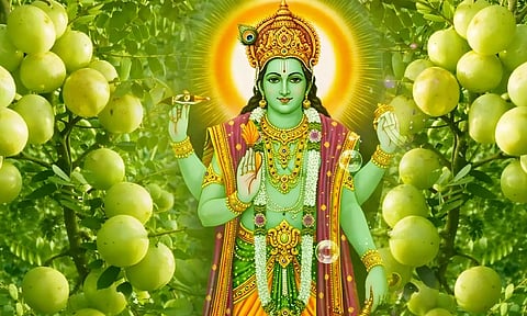 நாளை செல்வ வளம் அள்ளித்தரும் ஆமலகி ஏகாதசி வழிபாடு