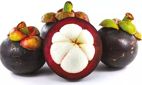 இளமையை காக்கும் 'மங்குஸ்தான்'