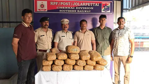 ஜோலார்பேட்டை அருகே ரெயிலில் கடத்திய 36 கிலோ கஞ்சா பறிமுதல்