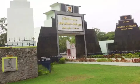 Vandalur Zoo | வண்டலூர் பூங்காவில் 11 நாள் சபாரி சேவைகள் ரத்து: காரணம் இதுதான்