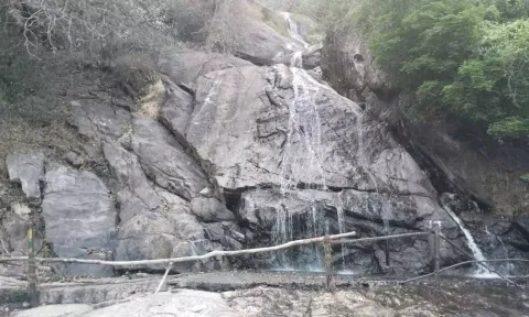 கவியருவிக்கு செல்ல சுற்றுலா பயணிகளுக்கு தடை- வனத்துறை அறிவிப்பு